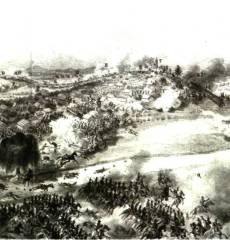 Home Page Image
