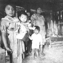 Home Page Image